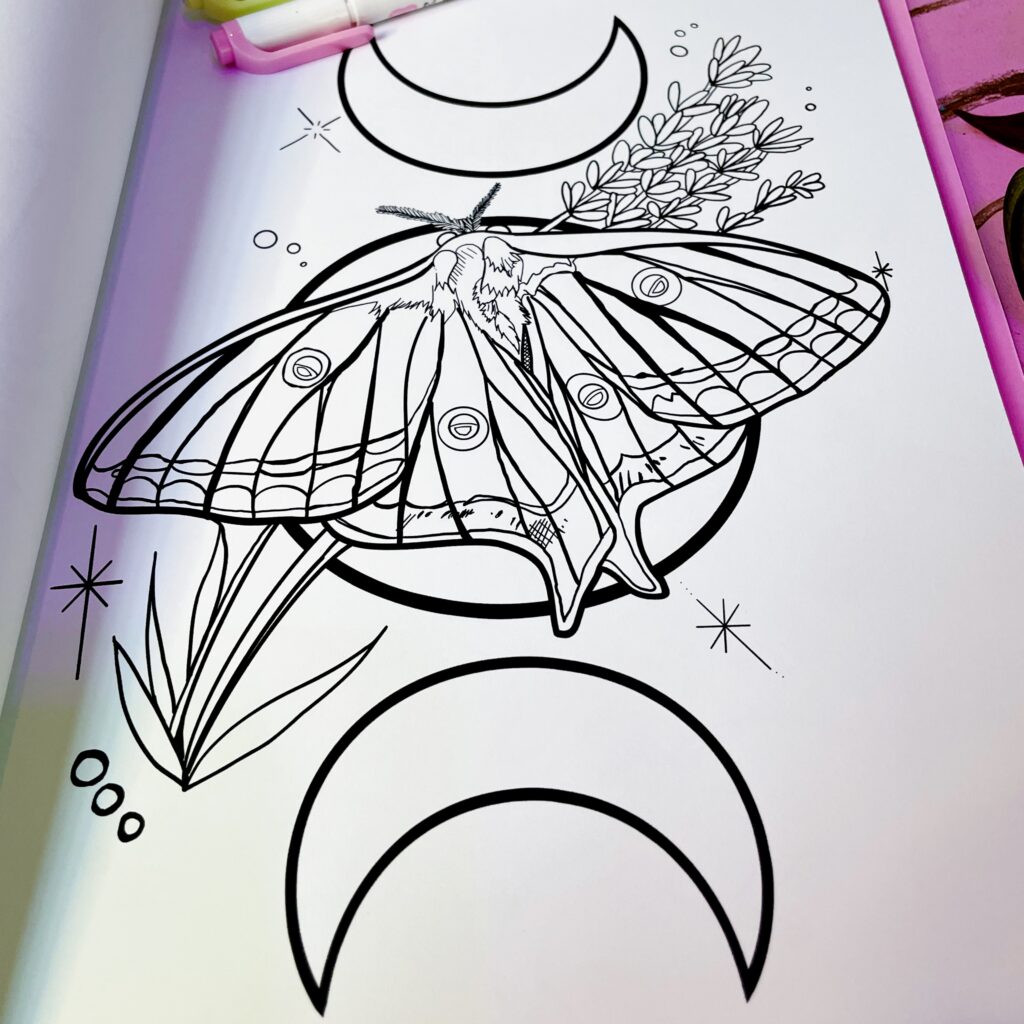 Luna Moth Line drawing from coloring book page